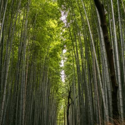 178.sk登录入口截图